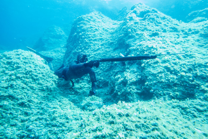 лицензия на подводную охоту в греции