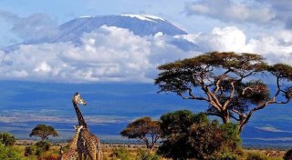 Восхождение на Килиманджаро: с чего начать и сколько это стоит