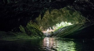 Пещеру, где были спасены дети в Таиланде, сделают туристическим объектом