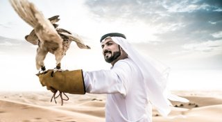 Абу-Даби - островок комфорта, современности и гения инженерной мысли в пустыне