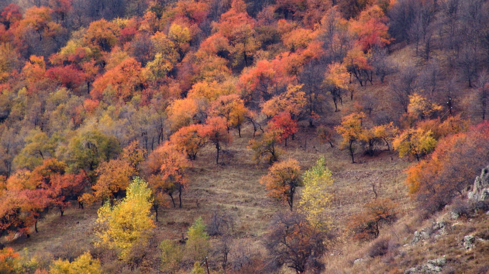 Фото Андрея Ми, kazakhstan.travel