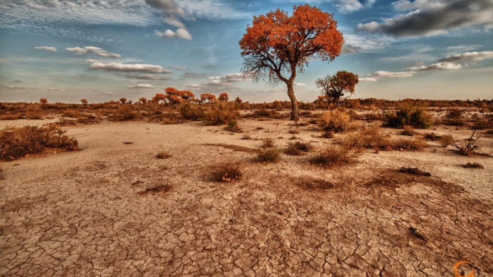 Фото ©QazaqGeography, автор - Айдар Аязбаев