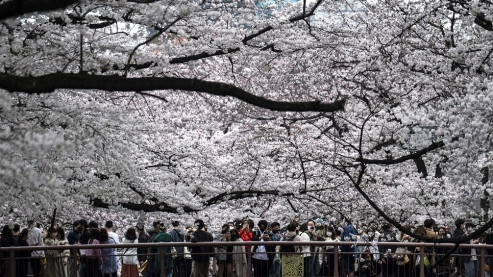 Фото: © Charly TRIBALLEAU / AFP/File