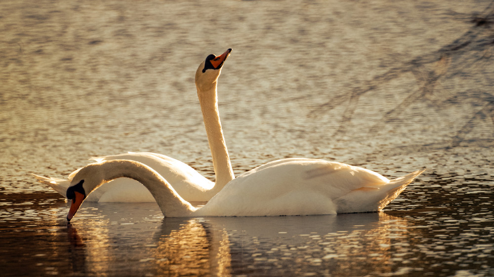 Фото:depositphotos.com