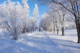 Прогулка по зимнему парку