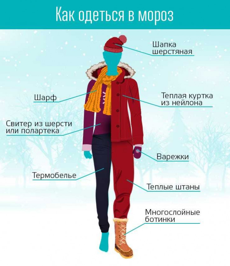Почему одеваться потеплее. Правильная одежда. Как одеться чти бы не замерзнуть. Правильная одежда зимой. Слои одежды зимой.
